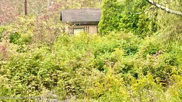 a view of a garden
