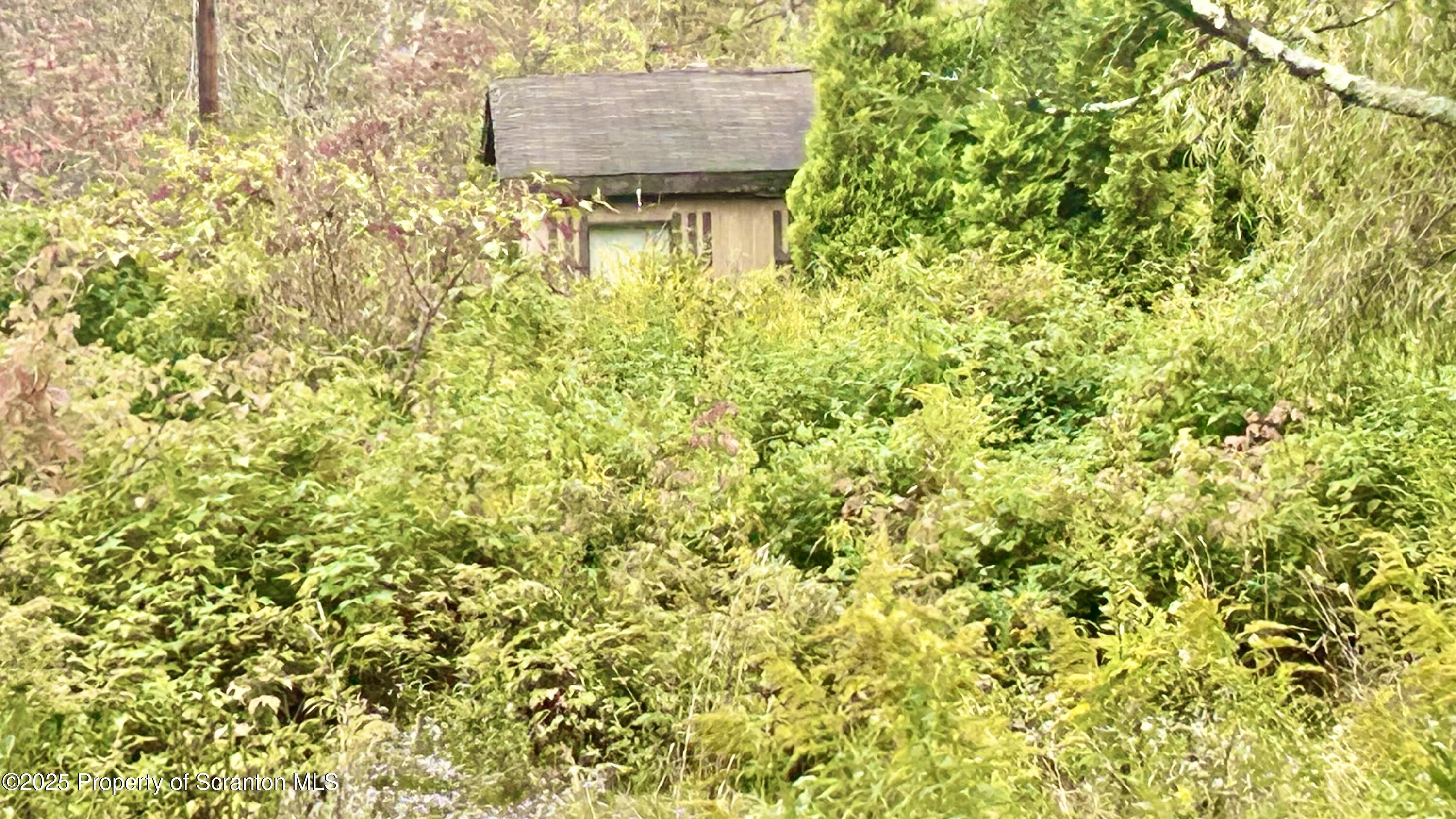 956 Russell Road Kingsley, PA 18826 - Photo 4 of 9 IMG_3880