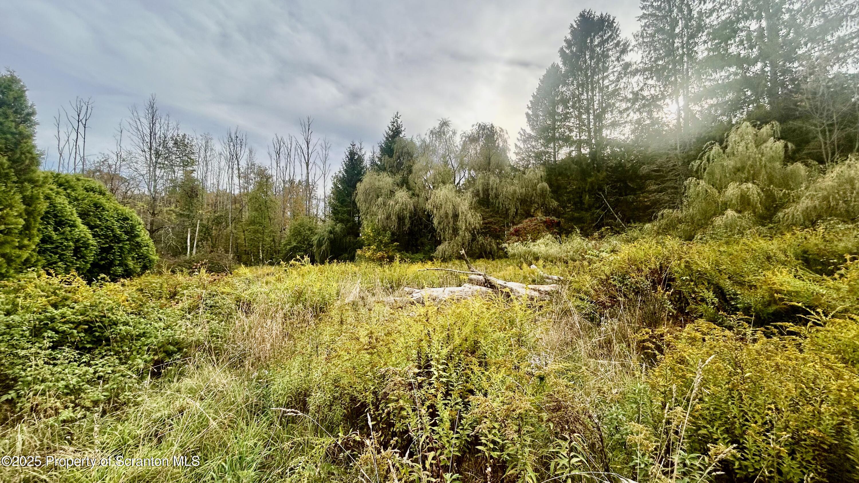 956 Russell Road Kingsley, PA 18826 - Photo 6 of 9 IMG_3887