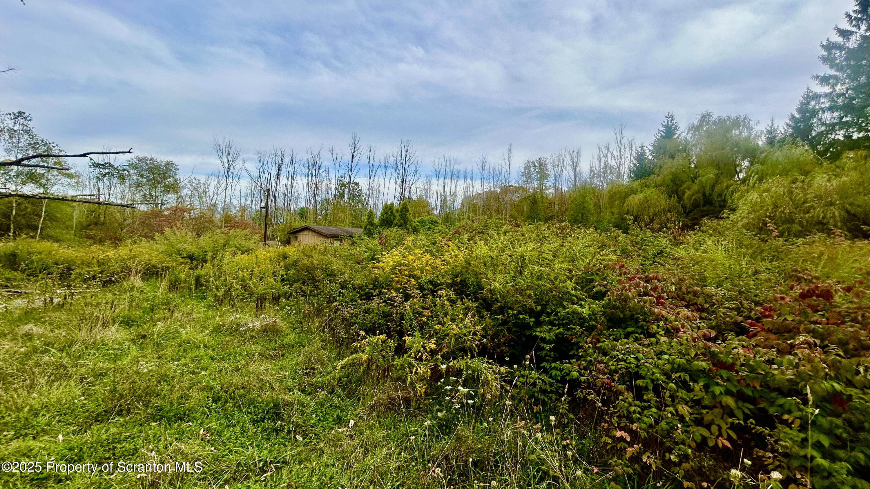 956 Russell Road Kingsley, PA 18826 - Photo 7 of 9 IMG_3888