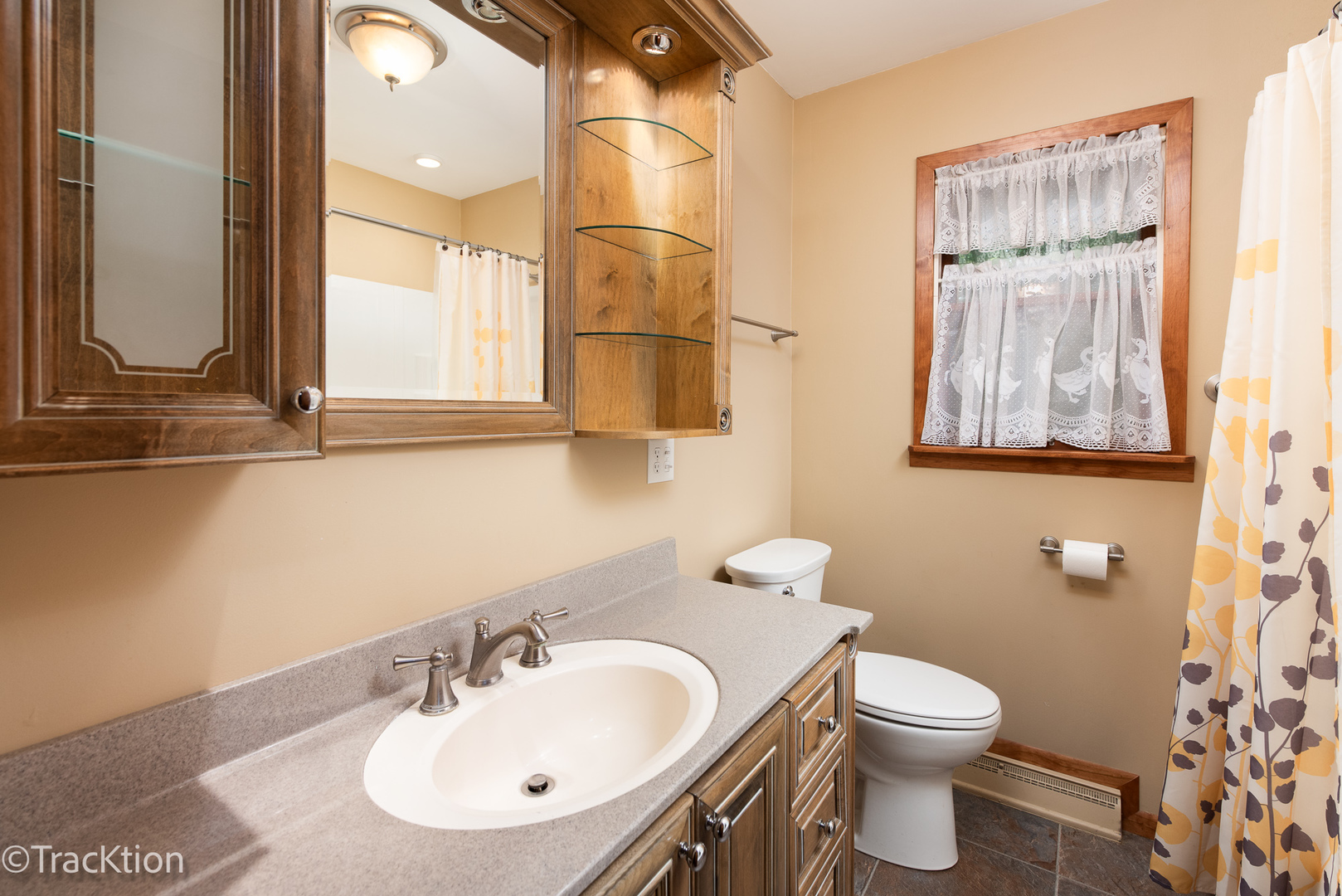 2982 Whitetie Road Morris, IL 60450 - Photo 11 of 19 a bathroom with a sink mirror and a toilet