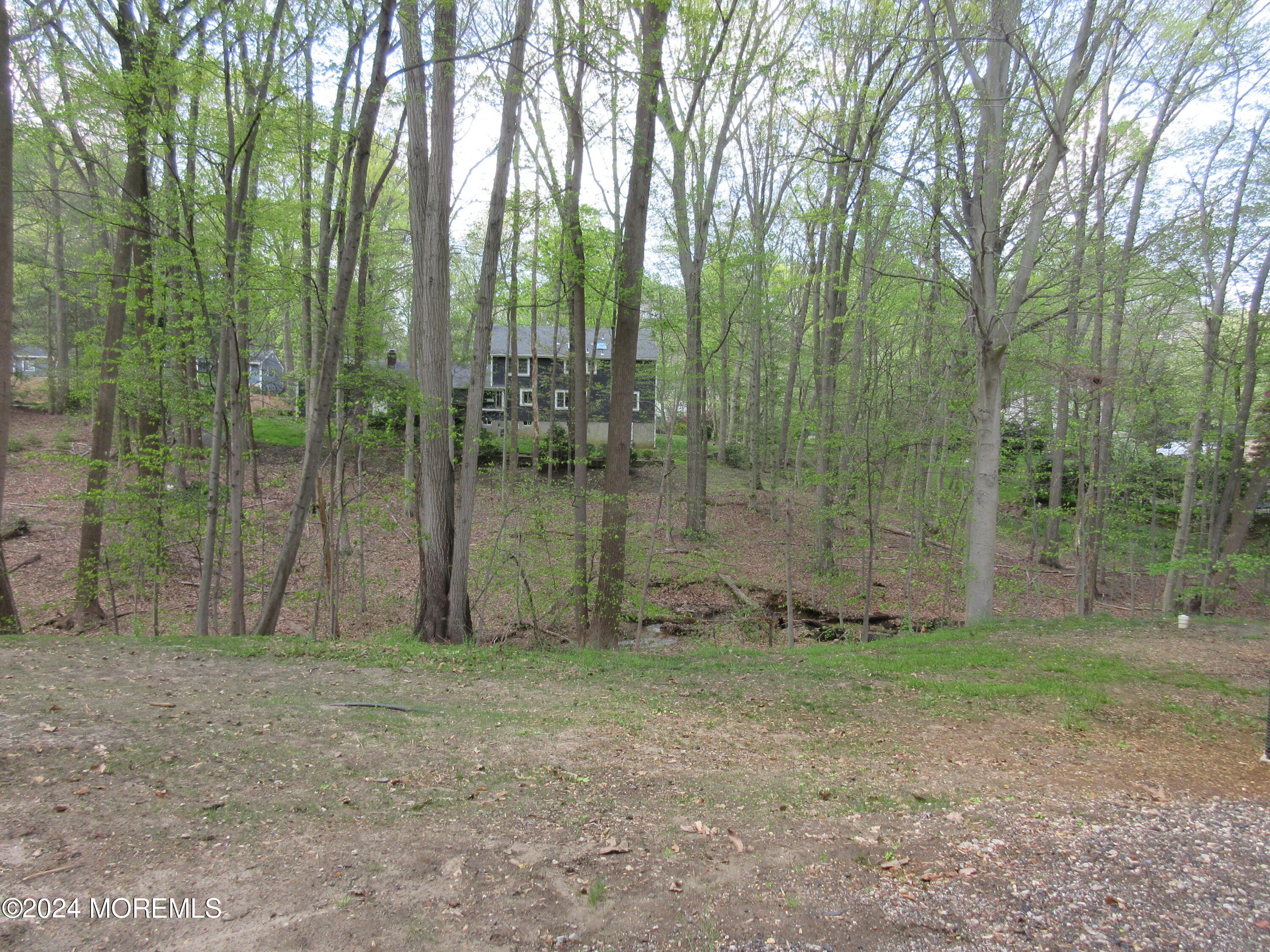 5 Cross Run Road Holmdel, NJ 07733 - Photo 17 of 17 IMG_7017
