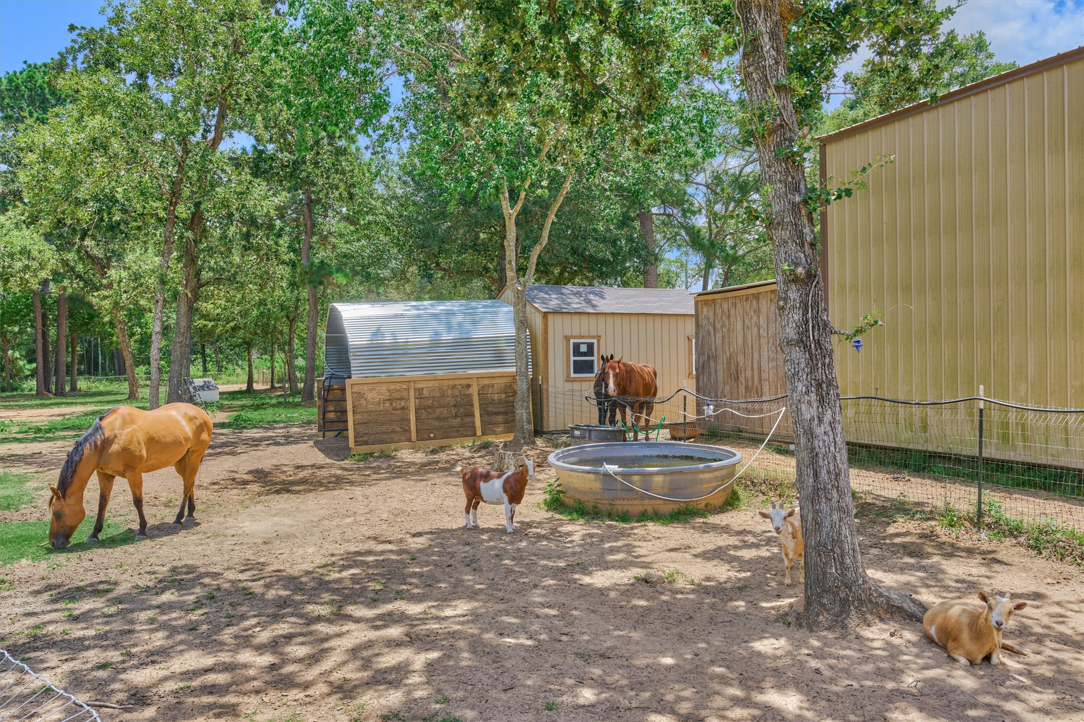 420 Ruel Lane Magnolia, TX 77355 - Photo 41 of 47 Room for all of your animals!