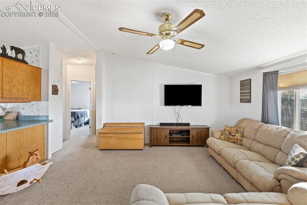 20480 Drennan Road Colorado Springs, CO 80928 - Photo 11 of 47 a living room with furniture and a flat screen tv