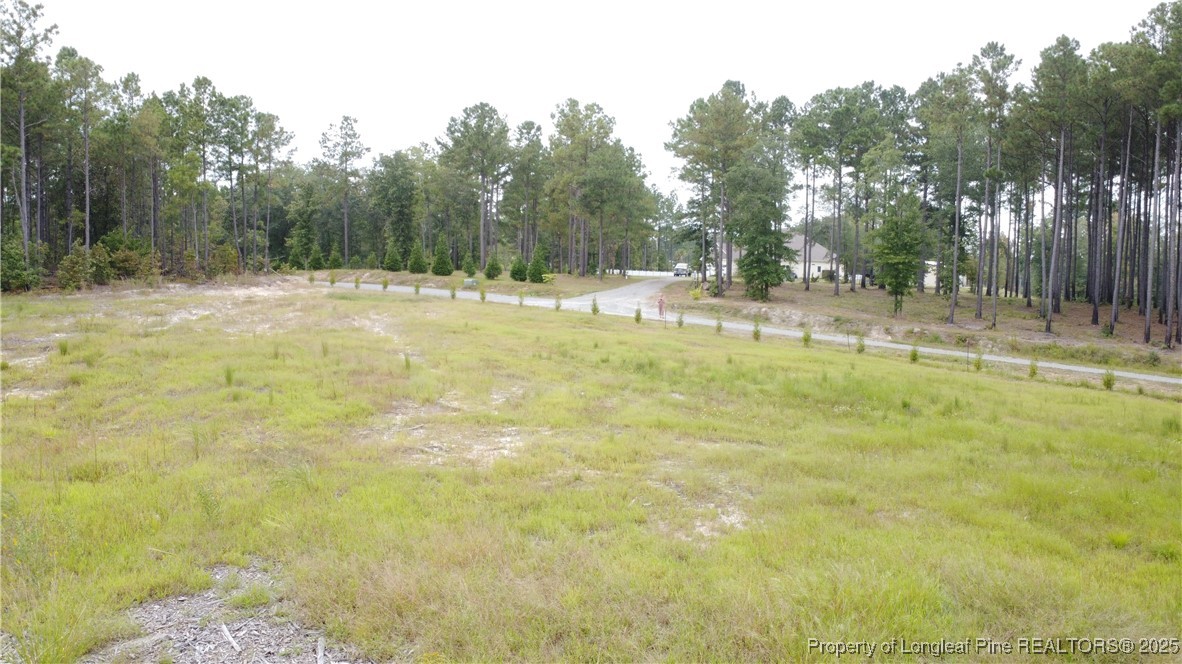 220 Preserves Oak Road Cameron, NC 28326 - Photo 2 of 4