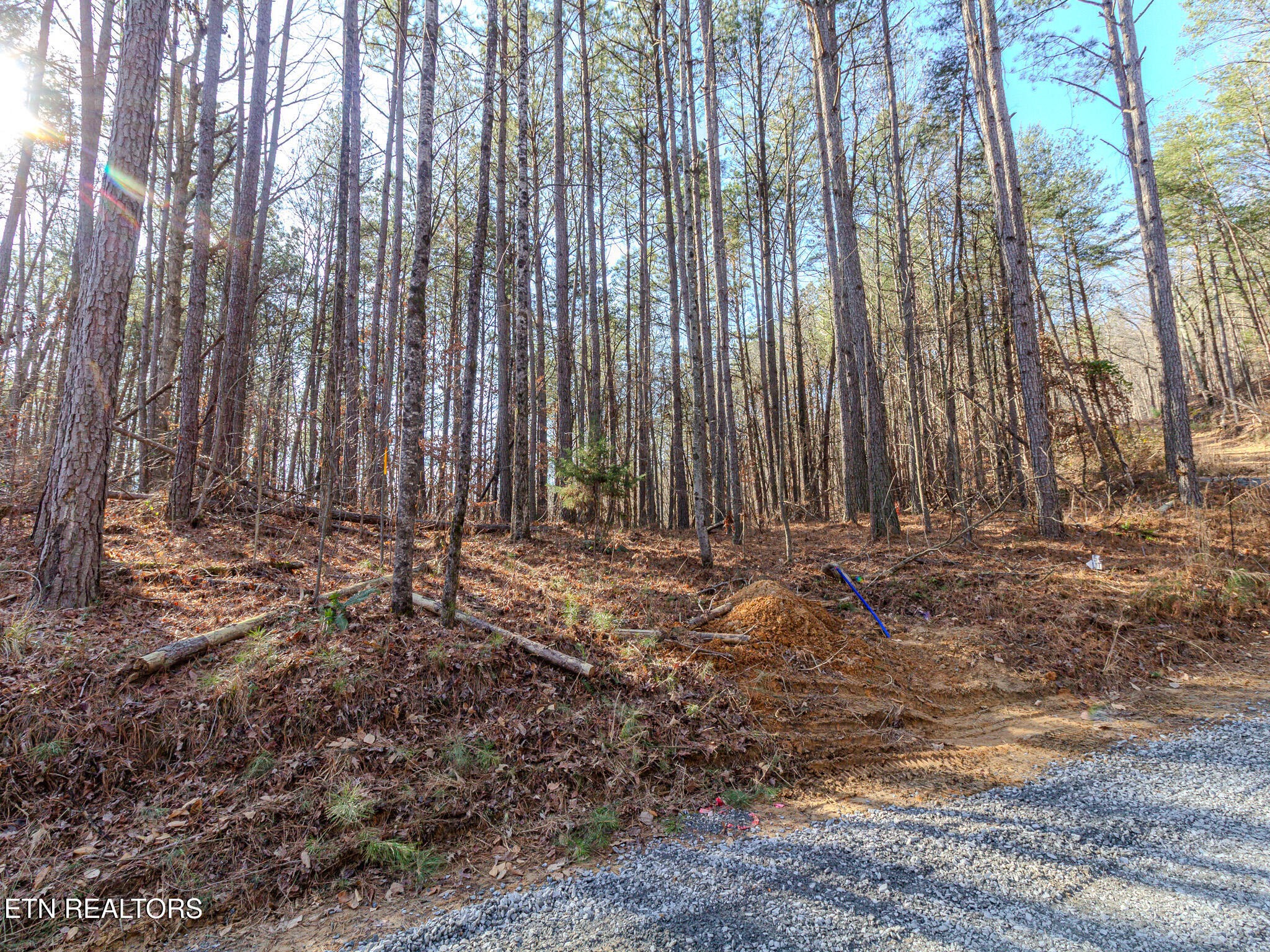 5 Parksville Road Benton, TN 37307 - Photo 2 of 6