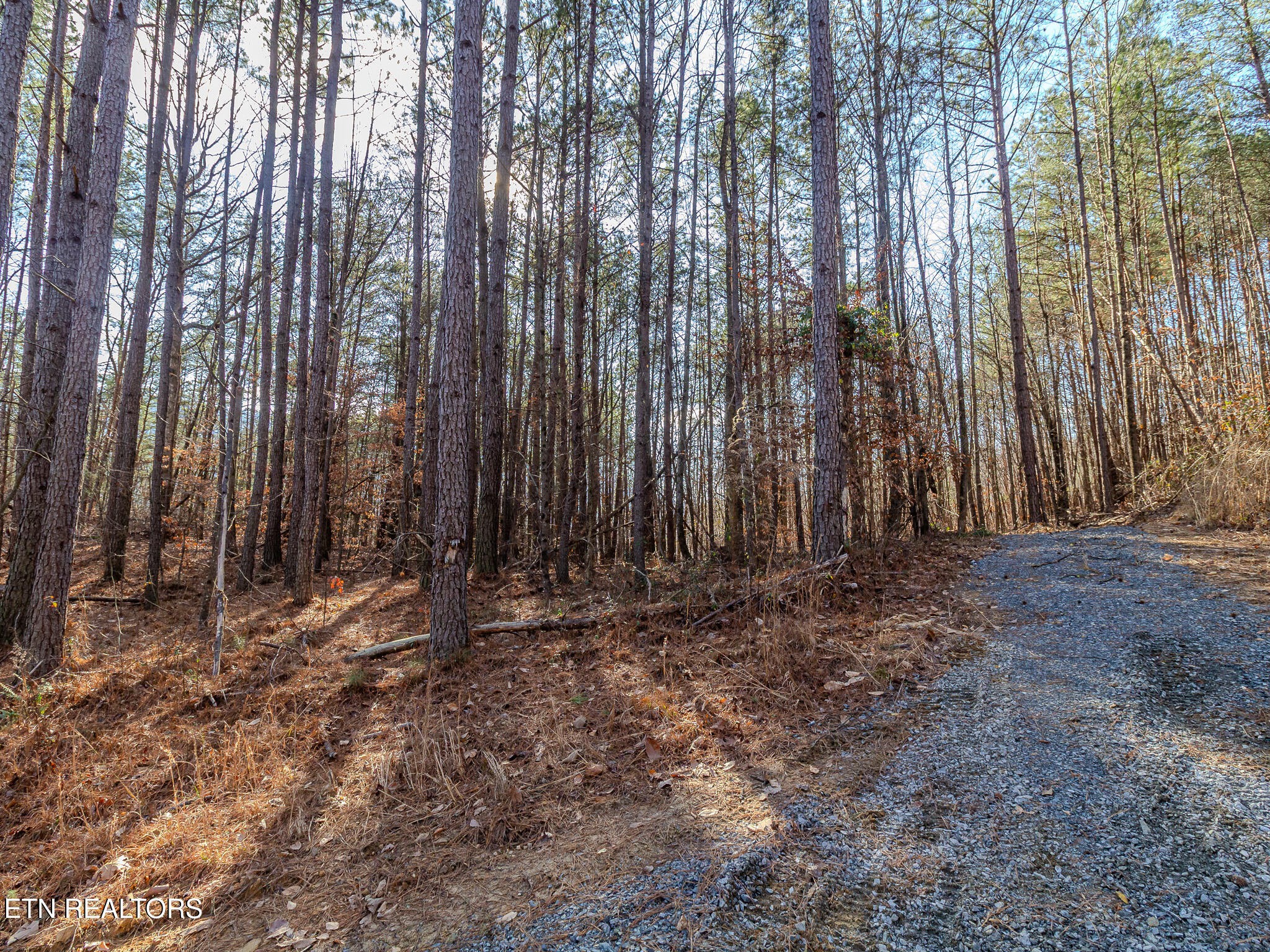 5 Parksville Road Benton, TN 37307 - Photo 4 of 6
