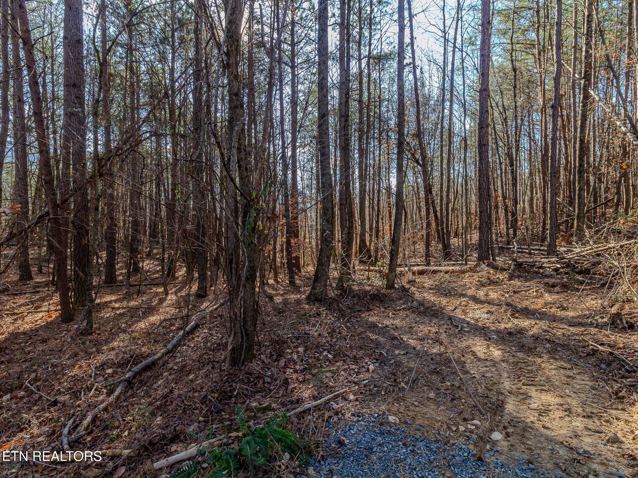 5 Parksville Road Benton, TN 37307 - Photo 6 of 6