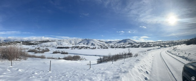 137 East Canyon Hollow Road, Unit 137 Fairview, UT 84629 - Photo 9 of 25 Mountain view
