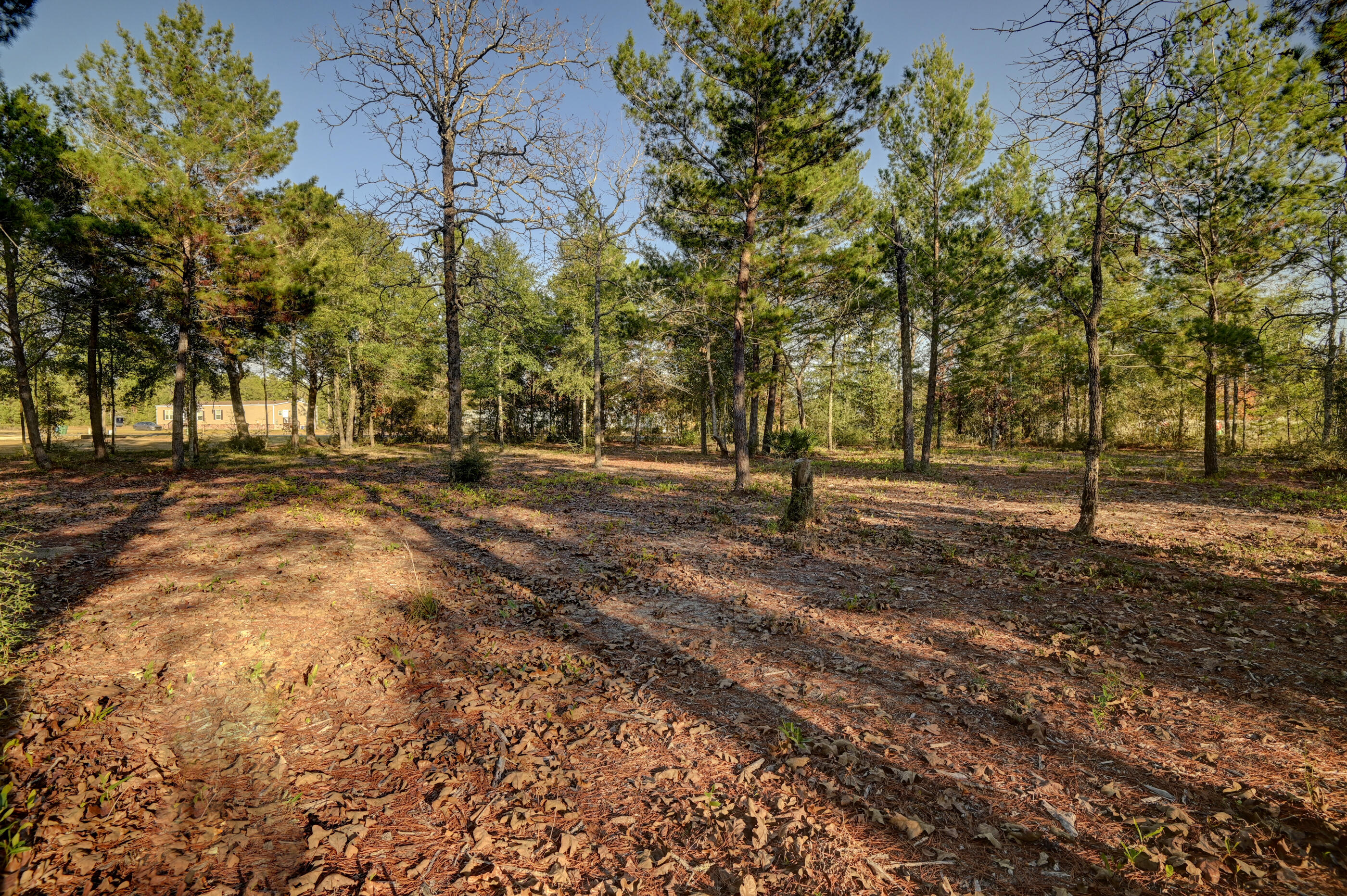 5256 Mt Olive Road Crestview, FL 32539 - Photo 59 of 68 a view of road with tree