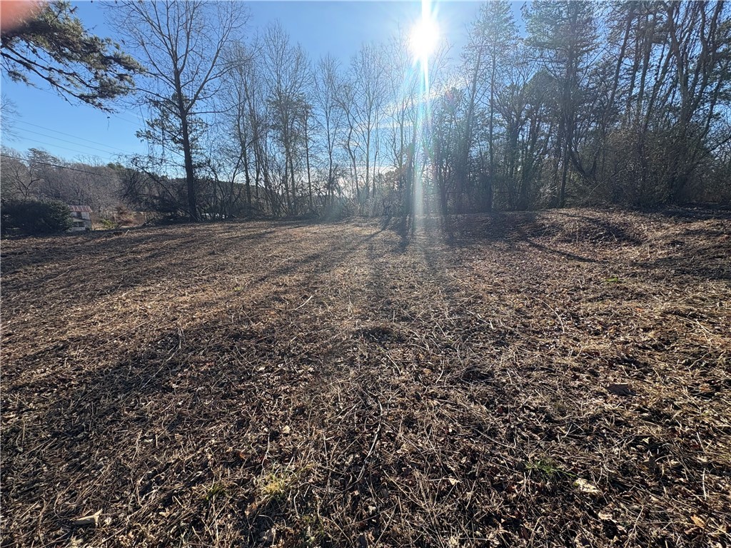 105 Strong Street Walhalla, SC 29691 - Photo 4 of 5