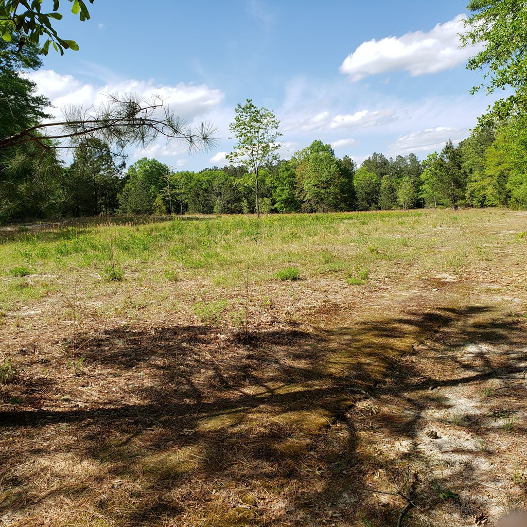 Lot 15 Dairy Road Monetta, SC 29105 - Photo 10 of 10