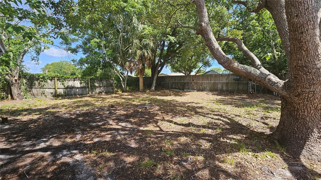 6412 Pawling Avenue Port Richey, FL 34668 - Photo 20 of 24 a backyard of a house with lots of green space