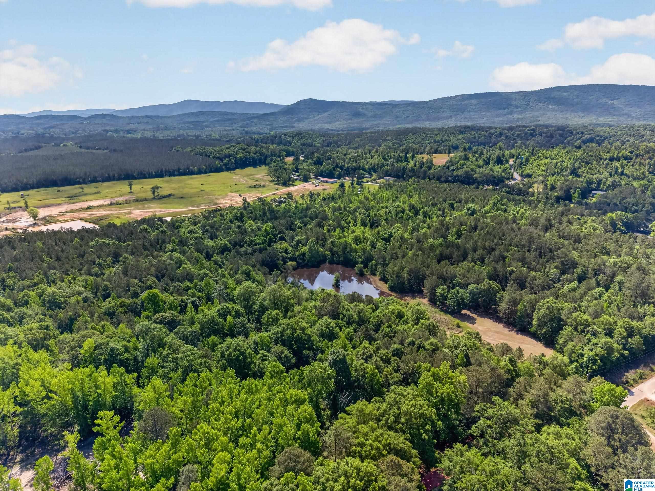 0 Pruitt Road Piedmont, AL 36272 - Photo 9 of 13