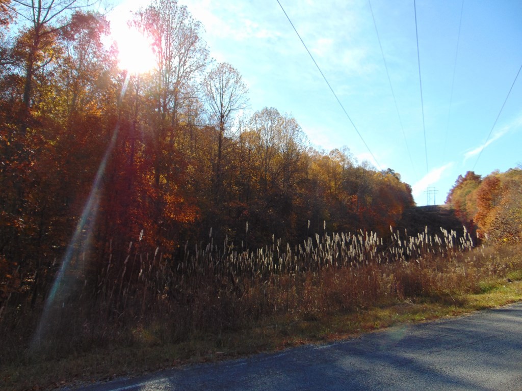 0 Raccoon Ridge Road Spring City, TN 37381 - Photo 63 of 70