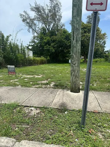 a view of a yard with plants