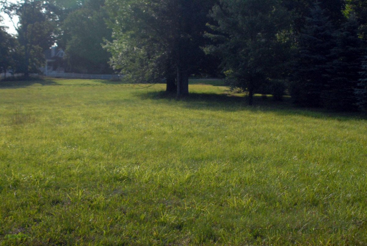 Lot 40 Seminole Road Pentwater, MI 49449 - Photo 3 of 5 2deer