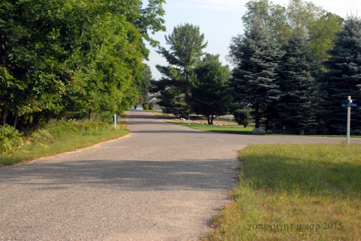 Lot 40 Seminole Road Pentwater, MI 49449 - Photo 4 of 5 3deer