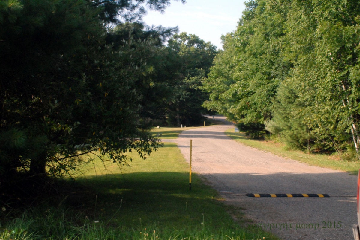 Lot 40 Seminole Road Pentwater, MI 49449 - Photo 5 of 5 4deer
