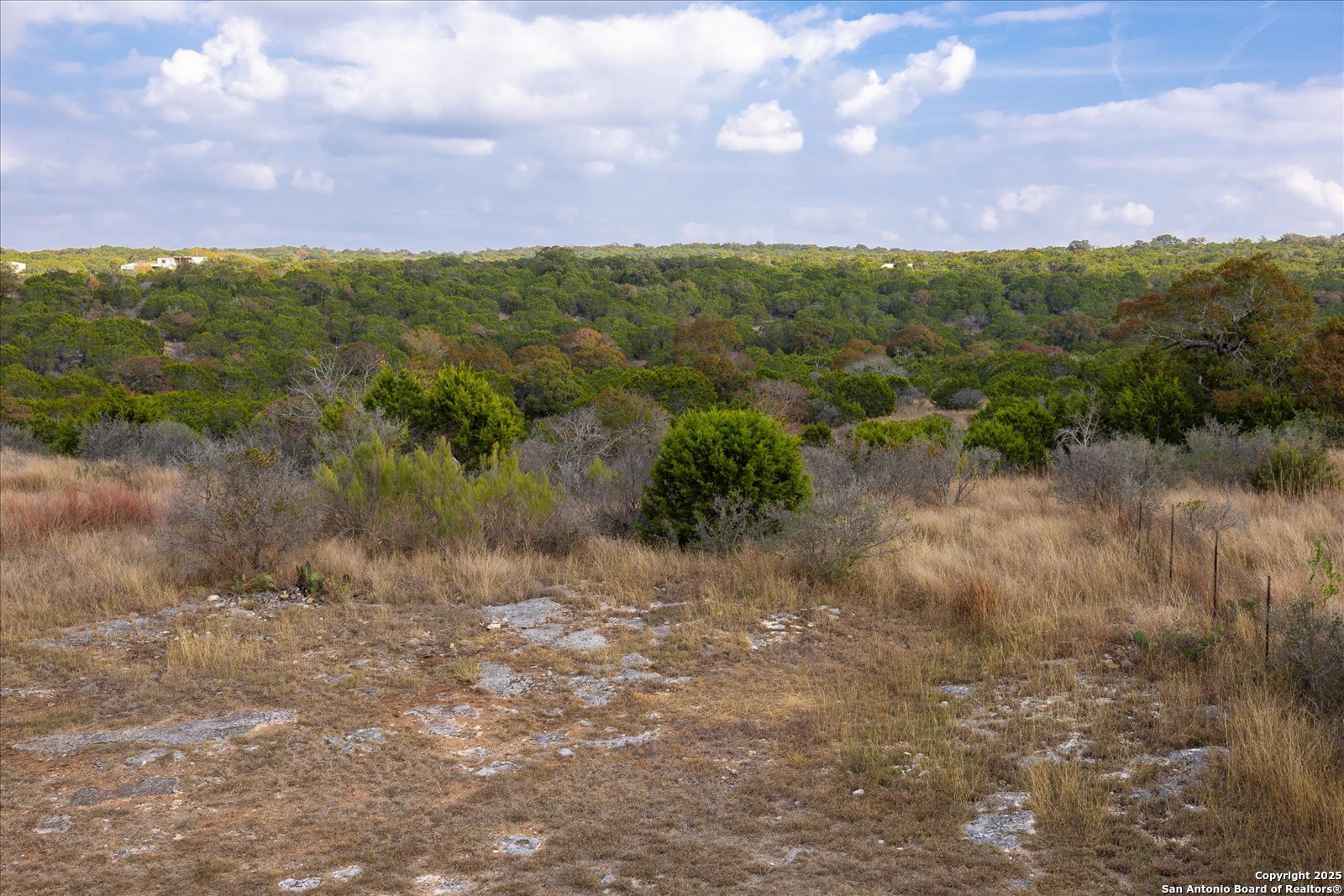 127 Camp Alzafar Road Boerne, TX 78006 - Photo 40 of 50 a view of a city with lush green forest