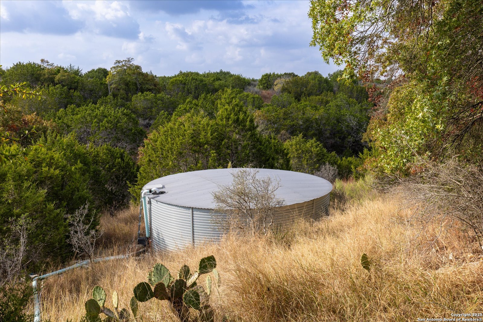 127 Camp Alzafar Road Boerne, TX 78006 - Photo 43 of 50 a view of a swimming pool with a yard