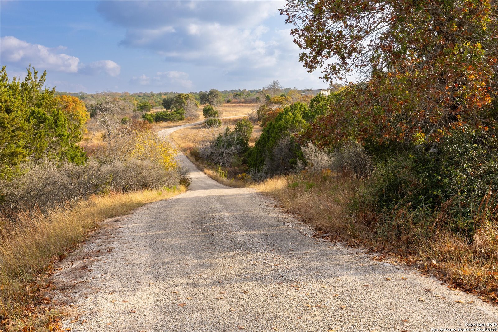 127 Camp Alzafar Road Boerne, TX 78006 - Photo 47 of 50 a view of a yard with a lake view