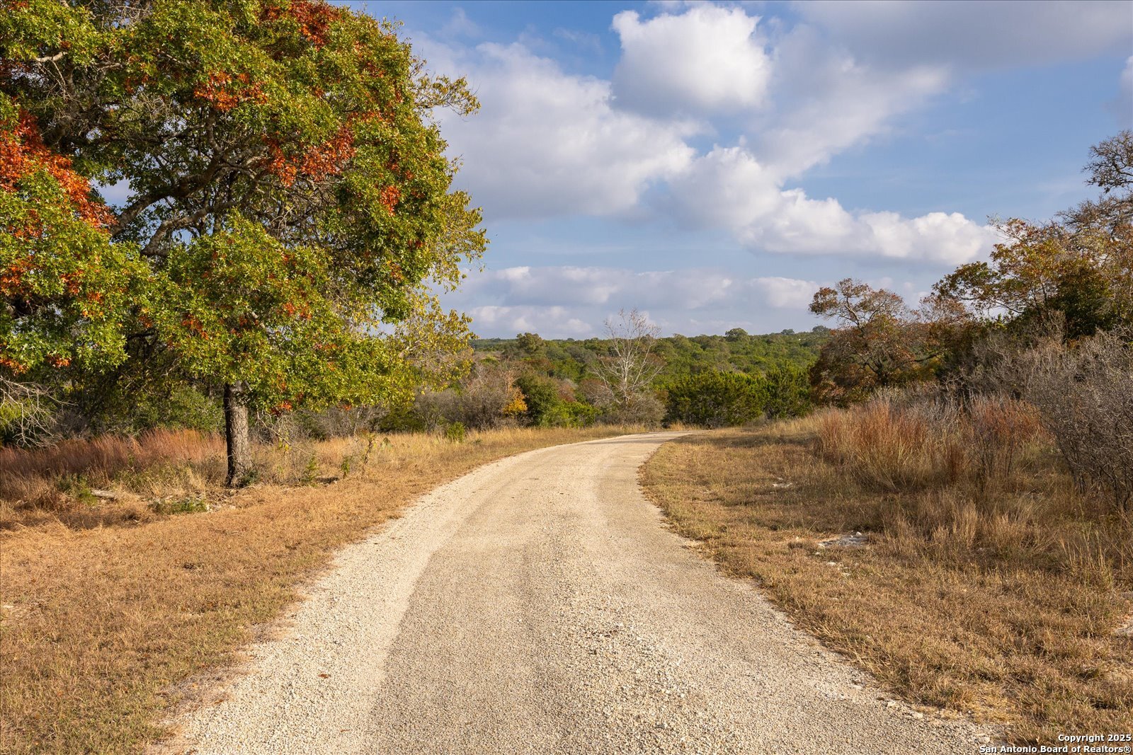 127 Camp Alzafar Road Boerne, TX 78006 - Photo 9 of 50 a view of a yard with trees and house in the background