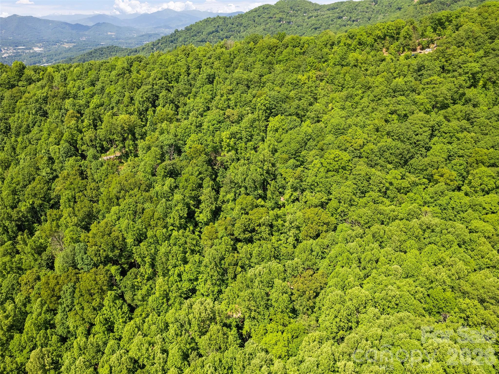 0 Rustic Road Waynesville, NC 28786 - Photo 7 of 11