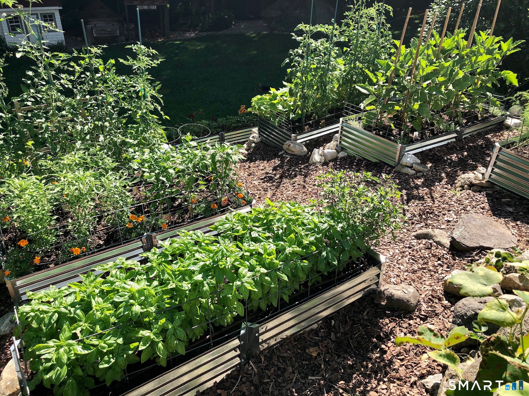 31 Aspen Mill Road Ridgefield, CT 06877 - Photo 36 of 38 Professional vegetable gardens are ripe for the picking