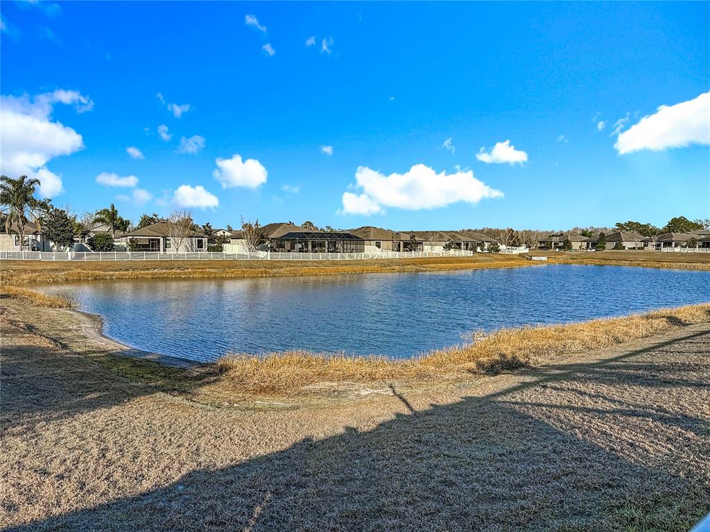 18585 Rococo Road Spring Hill, FL 34610 - Photo 60 of 94