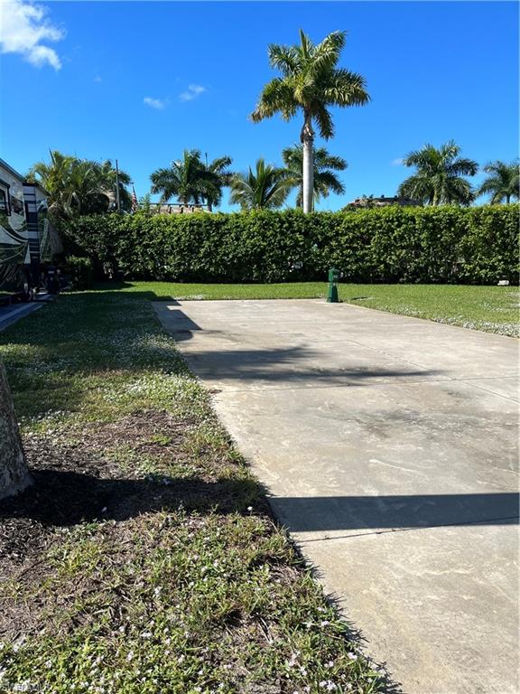 a view of a garden with a large tree