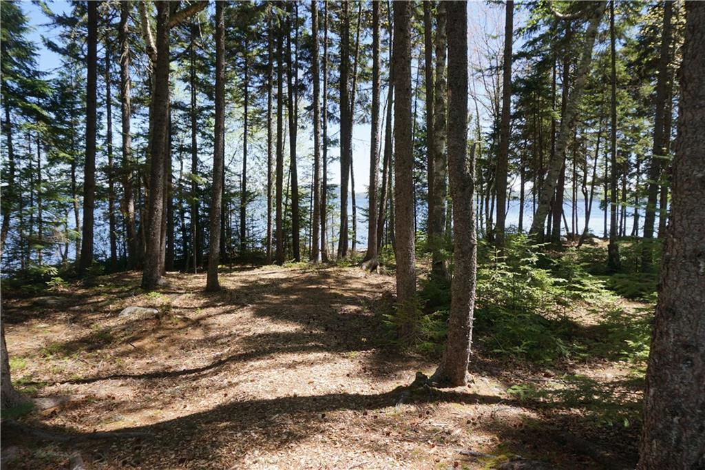 2262 Toe Of The Boot Road Greenville, ME 04441 - Photo 7 of 29 Photo