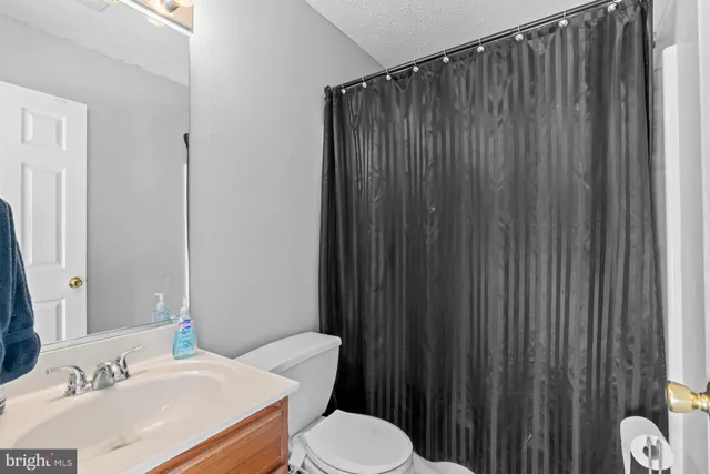 a bathroom with a sink a toilet a mirror and shower curtain