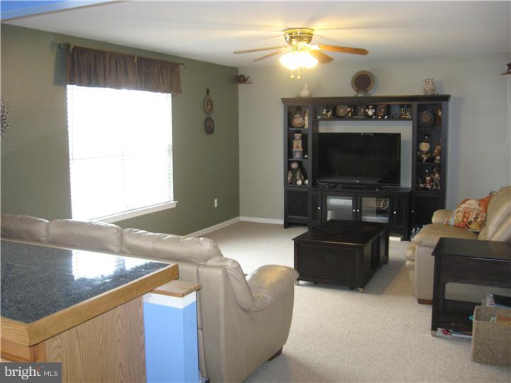 5 Prospect Drive Sinking Spring, PA 19608 - Photo 4 of 11 Family Room