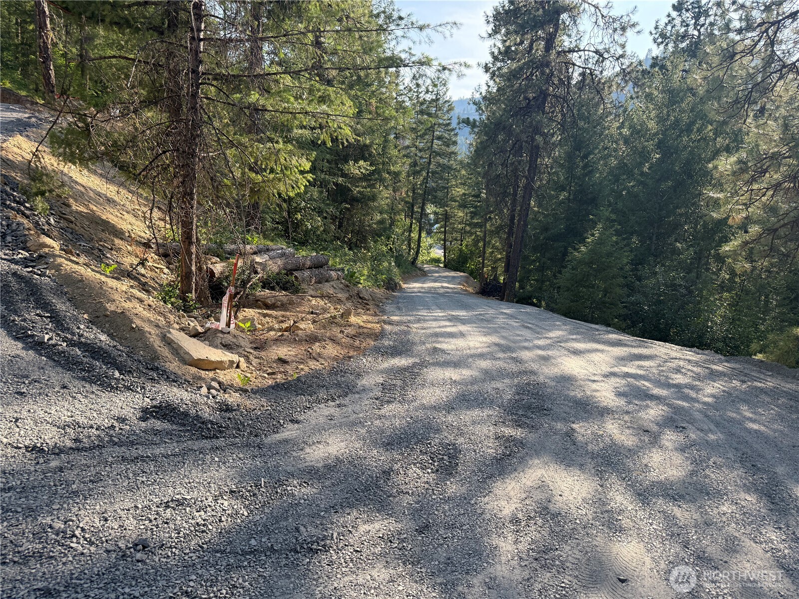 7797 Brender Canyon Road Cashmere, WA 98815 - Photo 14 of 15 a view of a forest with trees