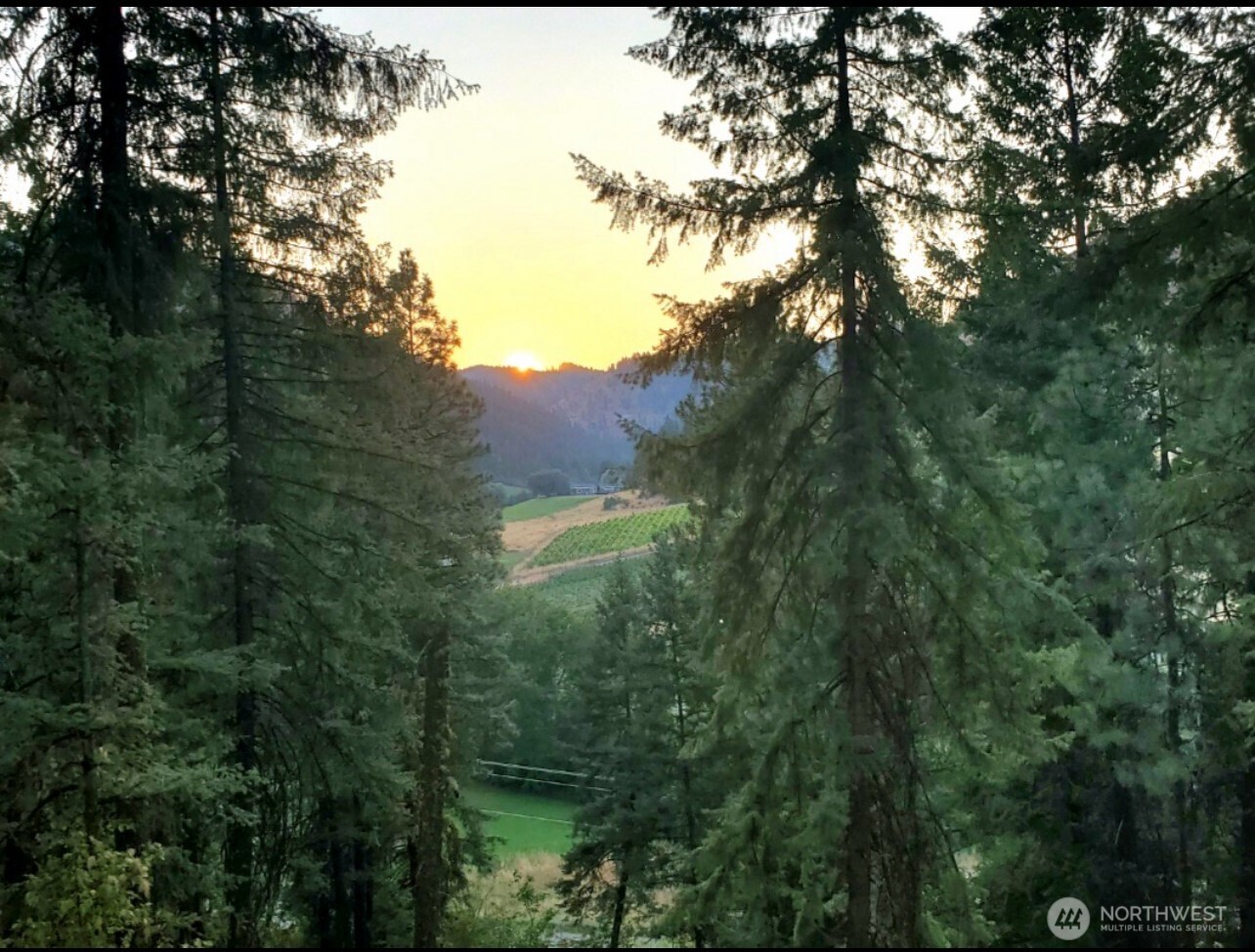 7797 Brender Canyon Road Cashmere, WA 98815 - Photo 2 of 15 a view of a forest with a tree in the background