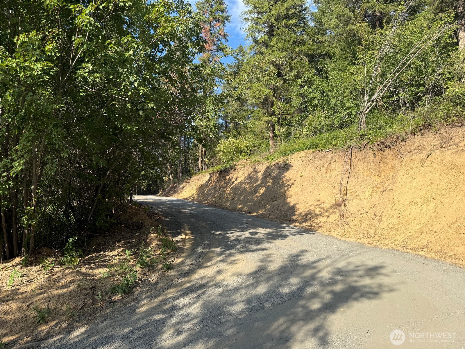 7797 Brender Canyon Road Cashmere, WA 98815 - Photo 6 of 15 a view of a yard with a tree