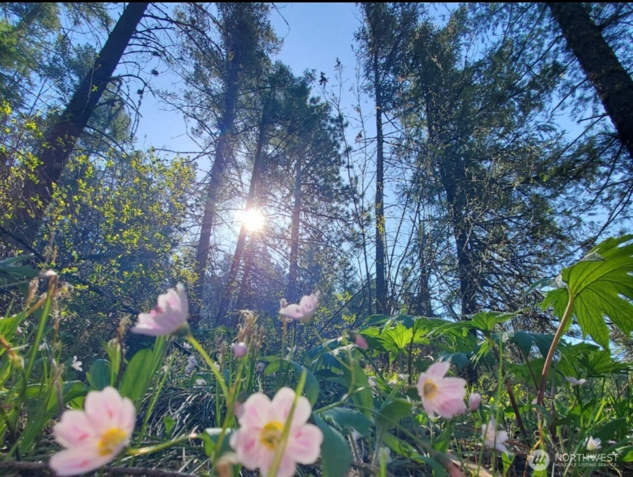 7797 Brender Canyon Road Cashmere, WA 98815 - Photo 7 of 15 a street view with sitting space