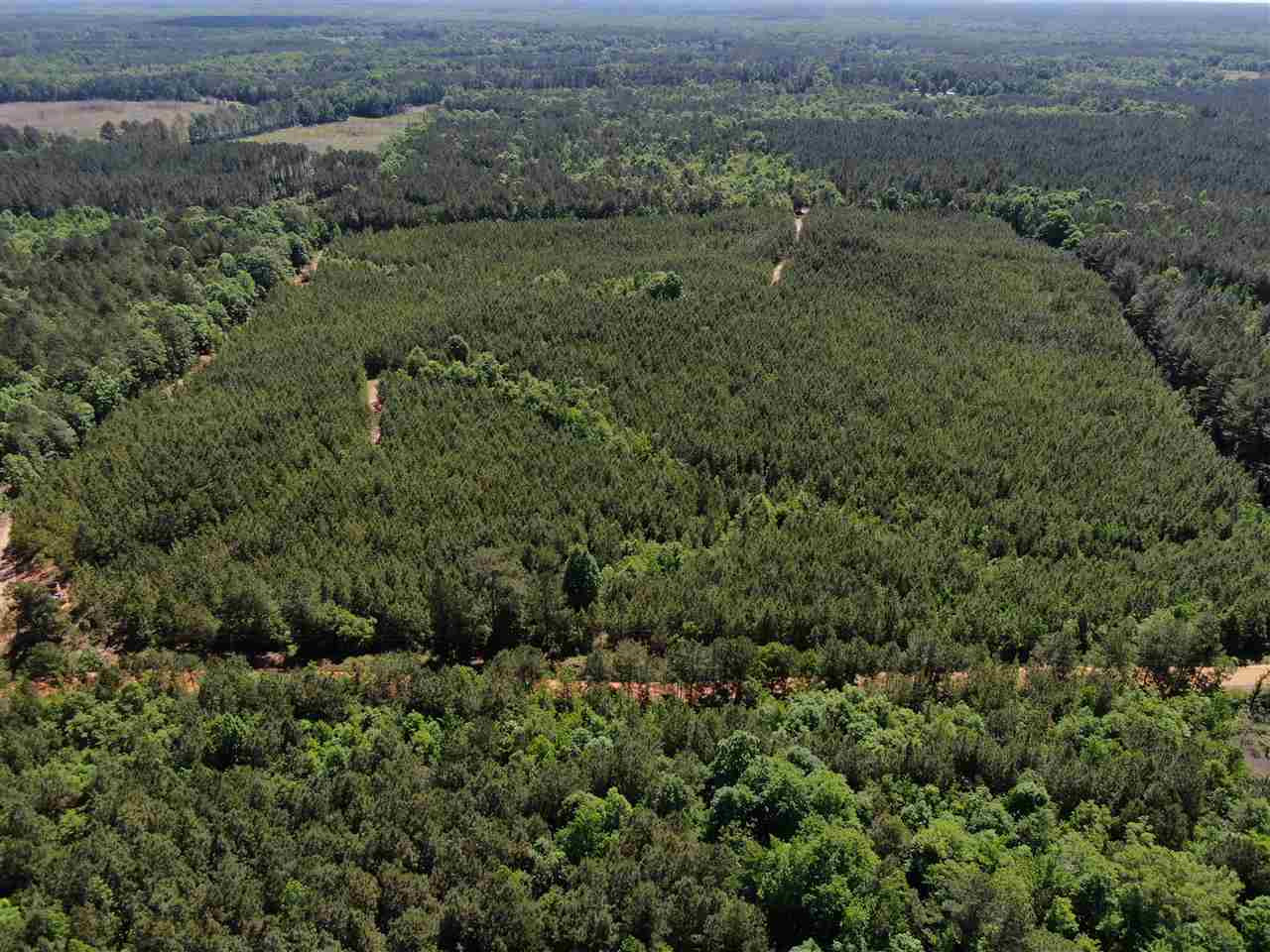 0 Beamon Road Kosciusko, MS 39090 - Photo 1 of 15 Photo 1