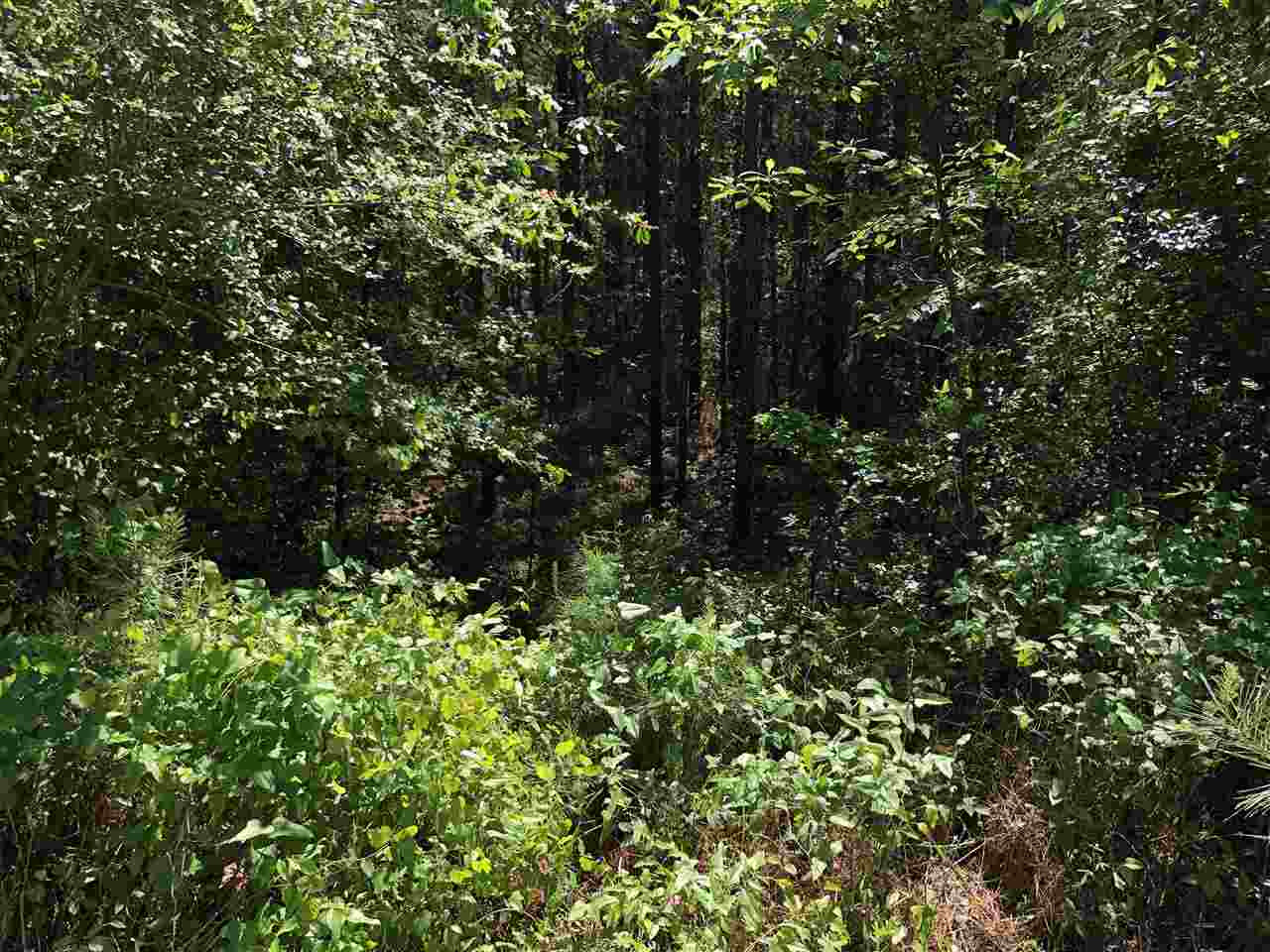 0 Beamon Road Kosciusko, MS 39090 - Photo 11 of 15 Photo 11