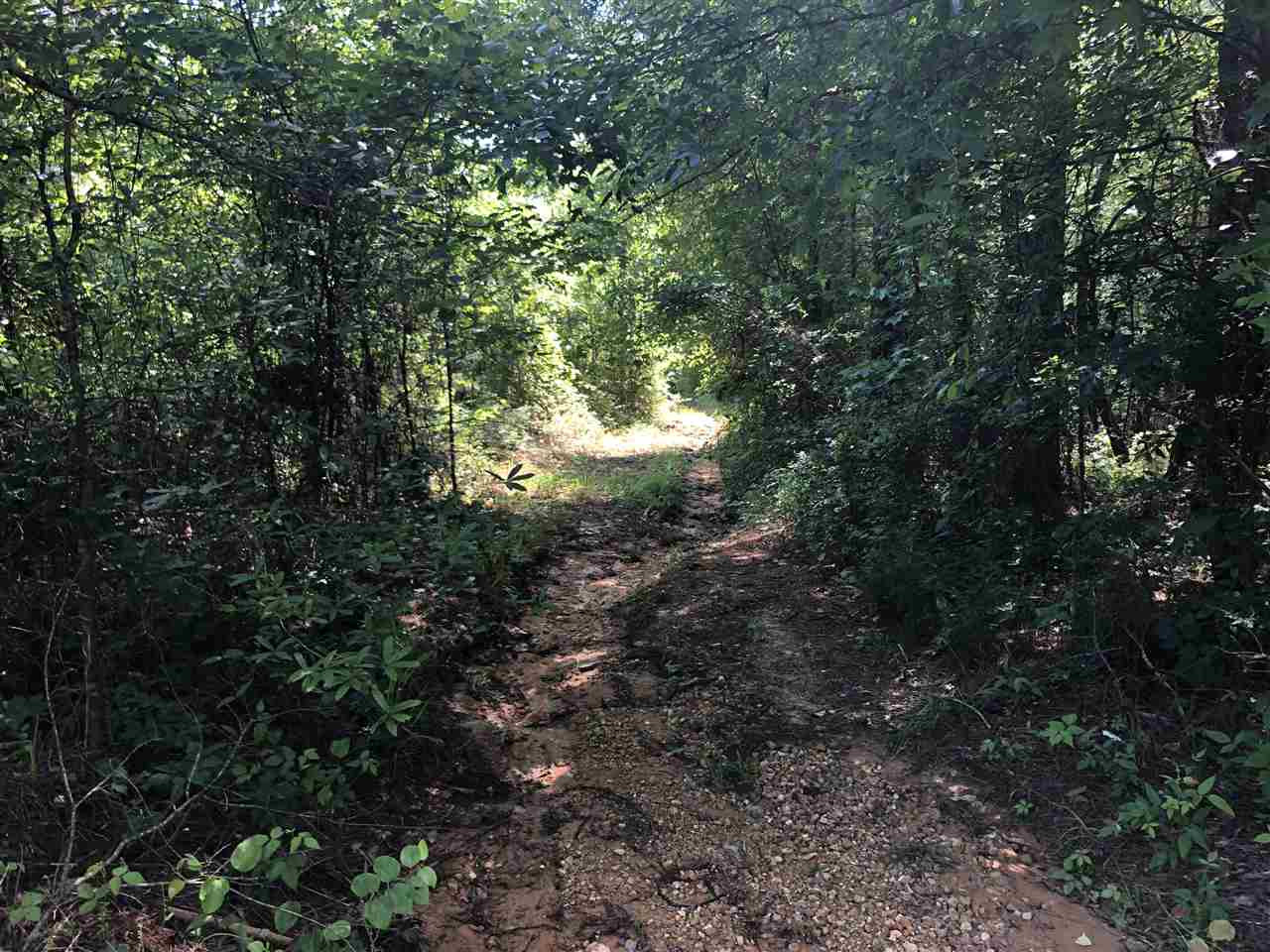 0 Beamon Road Kosciusko, MS 39090 - Photo 14 of 15 Photo 14
