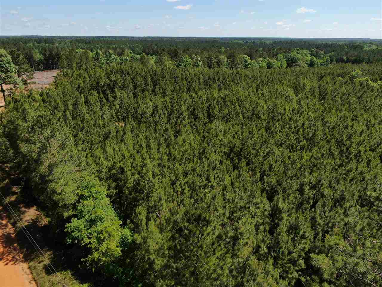 0 Beamon Road Kosciusko, MS 39090 - Photo 3 of 15 Photo 3