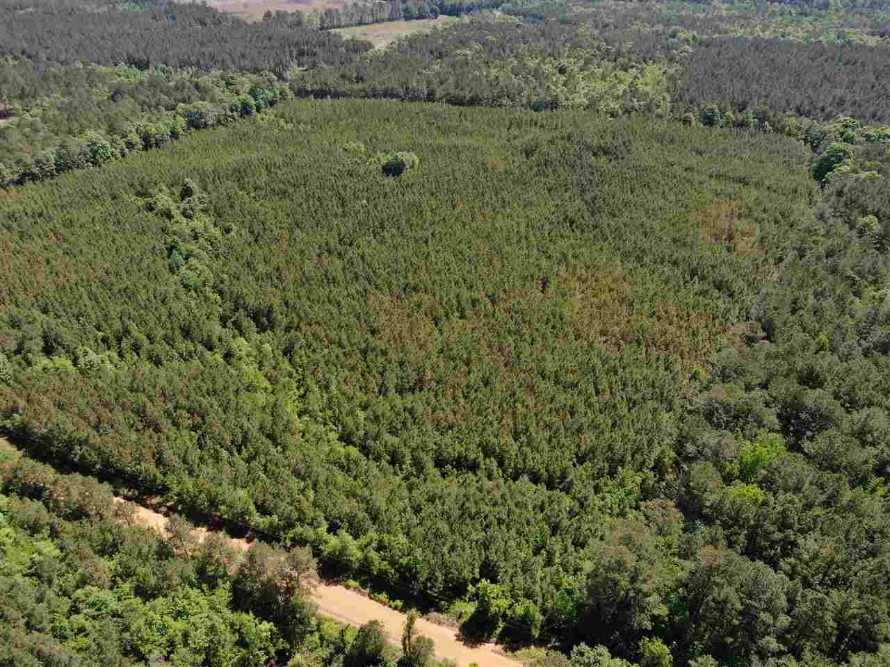 0 Beamon Road Kosciusko, MS 39090 - Photo 4 of 15 Photo 4