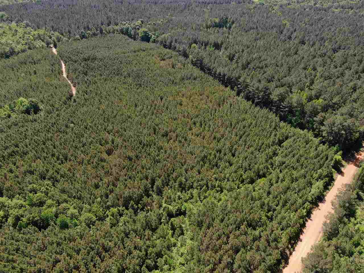 0 Beamon Road Kosciusko, MS 39090 - Photo 5 of 15 Photo 5