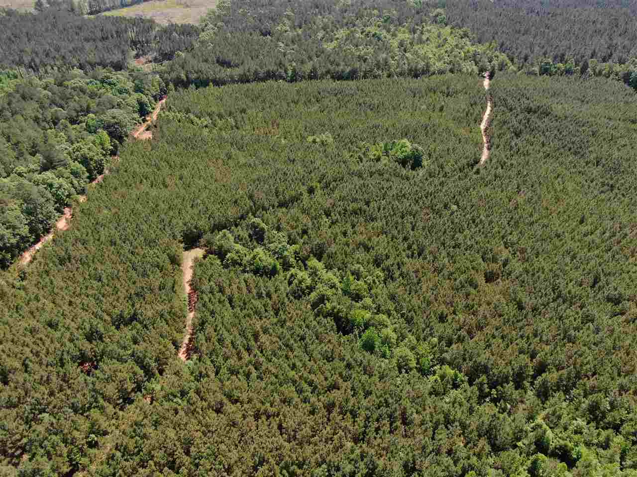 0 Beamon Road Kosciusko, MS 39090 - Photo 7 of 15 Photo 7
