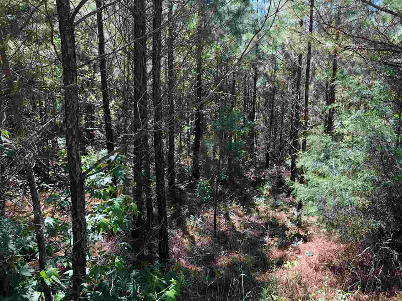 0 Beamon Road Kosciusko, MS 39090 - Photo 10 of 15 Photo 10