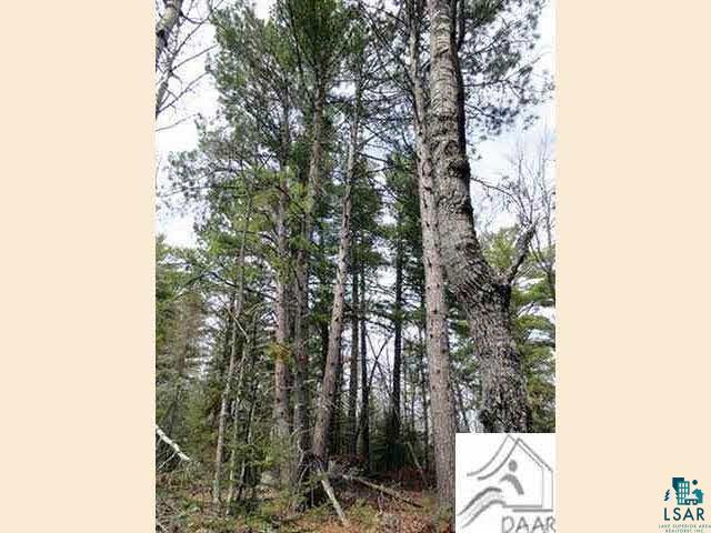 Burntside Ridge Road Ely, MN 55731 - Photo 3 of 7 Gallery Image 3