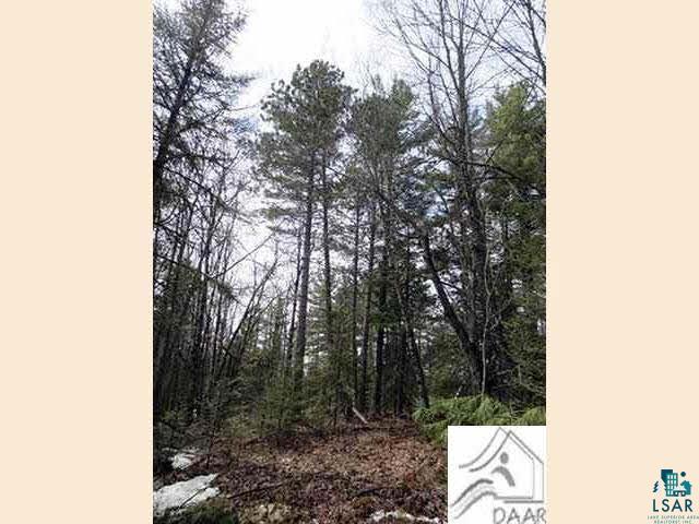Burntside Ridge Road Ely, MN 55731 - Photo 4 of 7 Gallery Image 4