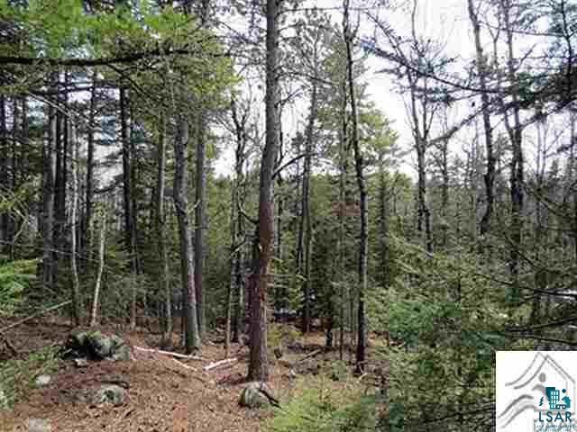 Burntside Ridge Road Ely, MN 55731 - Photo 5 of 7 Gallery Image 5