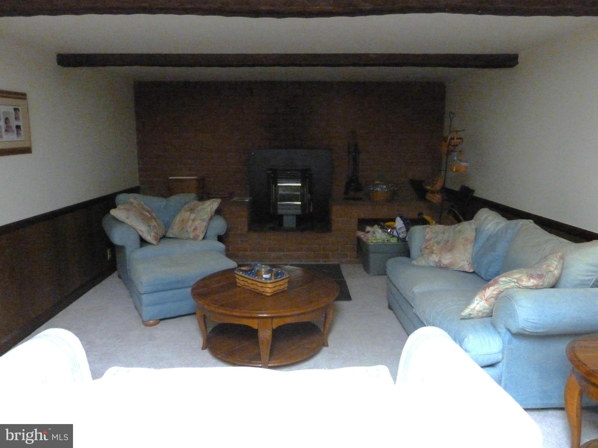 16534 Edward Doub Road Williamsport, MD 21795 - Photo 12 of 15 Family Room in Basement w/Pellet Stove